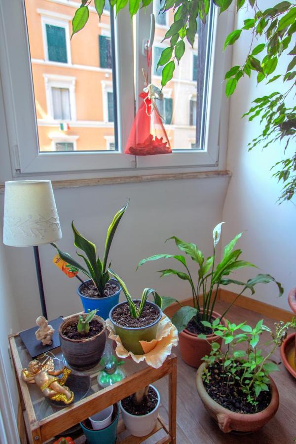 Ulysses In Rome Bed and Breakfast Εξωτερικό φωτογραφία