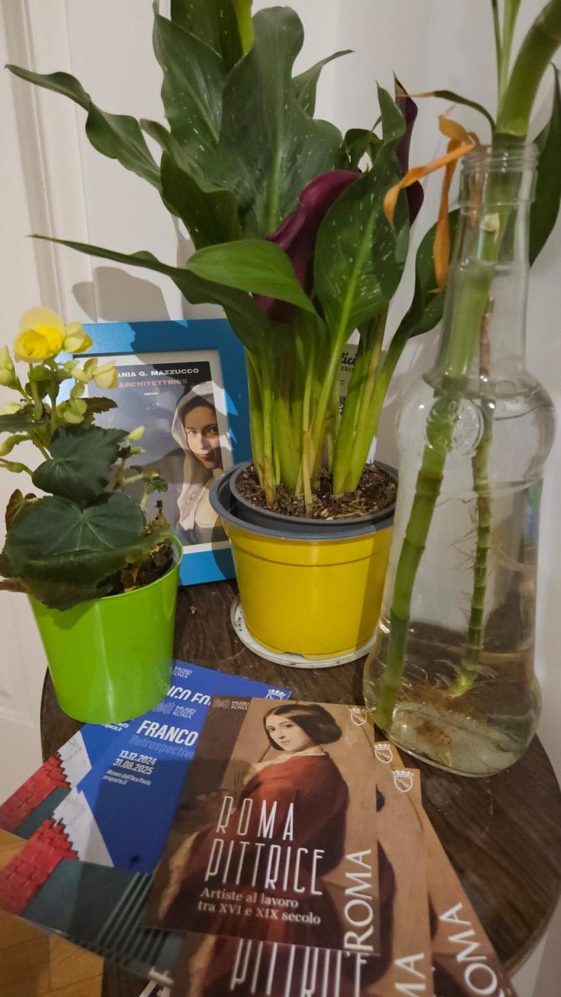 Ulysses In Rome Bed and Breakfast Εξωτερικό φωτογραφία